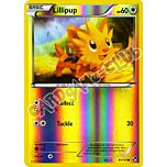 081 / 114 Lillipup comune foil reverse (EN) -NEAR MINT-