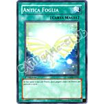 ANPR-IT061 Antica Foglia comune 1a Edizione (IT) -NEAR MINT-