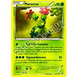 012 / 114 Maractus rara (IT) -NEAR MINT-