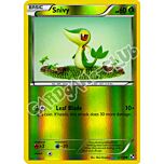 002 / 114 Snivy comune foil reverse (EN) -NEAR MINT-