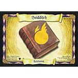 79/80 Quidditch comune (IT)