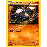 055 / 108 Drilbur comune (EN) -NEAR MINT-