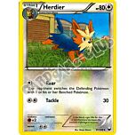 087 / 108 Herdier non comune (EN) -NEAR MINT-