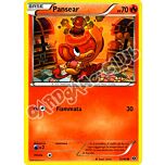 015 / 099 Pansear comune (IT) -NEAR MINT-