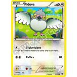 083 / 099 Pidove comune (IT) -NEAR MINT-