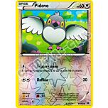 083 / 099 Pidove comune foil reverse (IT) -NEAR MINT-
