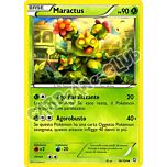 016 / 124 Maractus non comune (IT) -NEAR MINT-