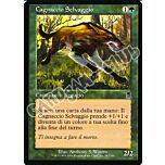 283 / 350 Cagnaccio Selvaggio comune (IT) -NEAR MINT-