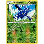 008 / 149 Heracross non comune foil reverse (IT) -NEAR MINT-