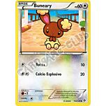 116 / 149 Buneary comune (IT) -NEAR MINT-