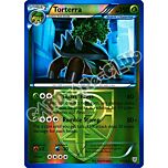 003 / 135 Torterra rara foil reverse (EN) -NEAR MINT-