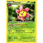 007 / 135 Cherrim rara (EN) -NEAR MINT-