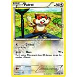 111 / 135 Patrat comune (EN) -NEAR MINT-
