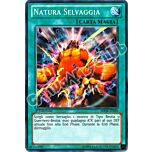 SDOK-IT026 Natura Selvaggia comune 1a Edizione (IT) -NEAR MINT-