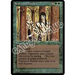 Scarwood Bandits rara (EN) -NEAR MINT-