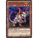 SP13-IT020 Ossomasticatore comune starfoil 1a edizione (IT) -NEAR MINT-
