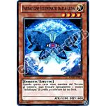 GAOV-IT014 Farfallone Illuminato dalla Luna comune Unlimited (IT) -NEAR MINT-