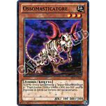 SP13-IT020 Ossomasticatore comune starfoil unlimited (IT) -NEAR MINT-