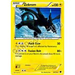 039 / 116 Zekrom rara foil (EN) -NEAR MINT-