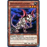 REDU-IT090 Ossomasticatore comune Unlimited (IT) -NEAR MINT-