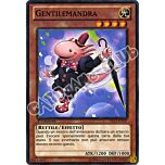 YS13-ITV07 Gentilemandra comune 1a Edizione (IT) -NEAR MINT-