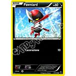 071 / 116 Pawniard comune (IT) -NEAR MINT-