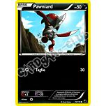 072 / 116 Pawniard comune (IT) -NEAR MINT-
