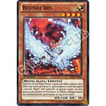 SHSP-IT024 Bujingi Ibis comune 1a edizione (IT) -NEAR MINT-