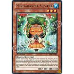 LVAL-IT081 Mikoarancia Silvana rara 1a Edizione (IT) -NEAR MINT-