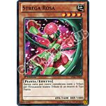 LVAL-IT093 Strega Rosa comune 1a Edizione (IT) -NEAR MINT-