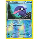 031 / 146 Shellder comune foil reverse (IT) -NEAR MINT-