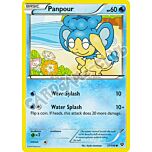 037 / 146 Panpour comune (EN) -NEAR MINT-