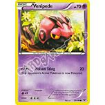 051 / 146 Venipede comune (EN) -NEAR MINT-