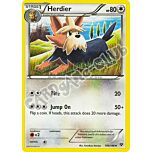 109 / 146 Herdier non comune (EN) -NEAR MINT-