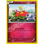 062 / 106 Flabebe comune (EN) -NEAR MINT-