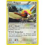 077 / 106 Pidgeot rara (EN) -NEAR MINT-