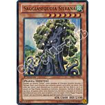 PRIO-IT021 Saggiasequoia Silvana ultra rara 1a edizione (IT) -NEAR MINT-