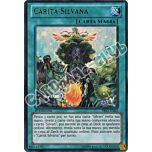 PRIO-IT062 Carita' Silvana ultra rara 1a edizione (IT) -NEAR MINT-