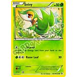 RC1/RC25 Snivy radiant foil (EN) -NEAR MINT-