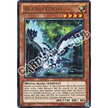 SHSP-IT023 Bujingi Corvo rara unlimited (IT) -GOOD-
