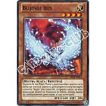 SHSP-IT024 Bujingi Ibis comune unlimited (IT) -NEAR MINT-