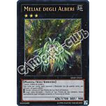 SHSP-IT055 Meliae degli Alberi rara segreta unlimited (IT) -NEAR MINT-