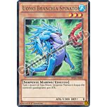 BP03-IT059 Uomo Branchia Spinato rara 1a edizione (IT) -NEAR MINT-