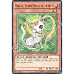 AP05-IT017 Rinyan, Ladro Fedele della Luce comune (IT) -NEAR MINT-