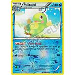 018 / 113 Politoed rara foil reverse (IT) -NEAR MINT-