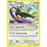 086 / 113 Tornadus rara (IT) -NEAR MINT-