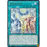 MP14-IT229 Bujinunita' rara 1a Edizione (IT) -NEAR MINT-