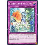 MP14-IT232 Benedizione Silvana comune 1a Edizione (IT) -NEAR MINT-