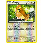 075 / 106 Pidgey comune foil reverse (IT) -NEAR MINT-