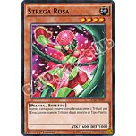 LC5D-IT097 Strega Rosa comune 1a Edizione (IT) -NEAR MINT-